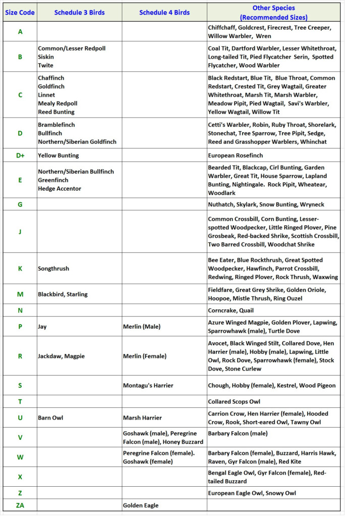 Ring Chart