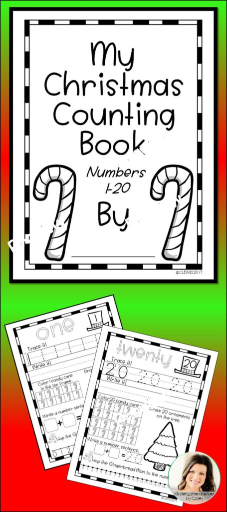 This Christmas Winter Counting Book BUNDLE Includes All 20 Pages From 