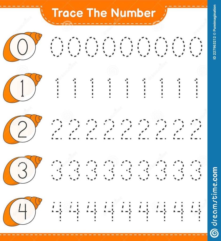 Trace The Number Tracing Number With Sea Shells Educational Children 