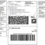 What Do FedEx Tracking Numbers Look Like In 2020 Supply Chain