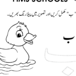 Free Printable Urdu English Math And Science Worksheet Teachers