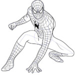 Learn How To Draw Spiderman Spiderman Step By Step Drawing