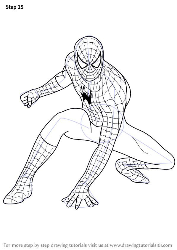 Learn How To Draw Spiderman Spiderman Step By Step Drawing