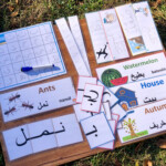 Pin On Arabic Flash Cards