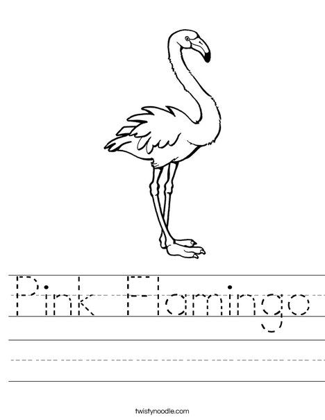 Pink Flamingo Worksheet From TwistyNoodle Pink Flamingos Fancy 