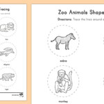 Zoo Animals Shape Tracing Worksheet Worksheet